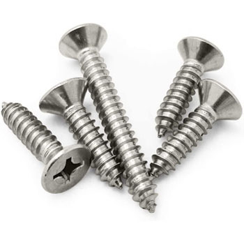 ss csk philips self tapping screw manufacturer in india