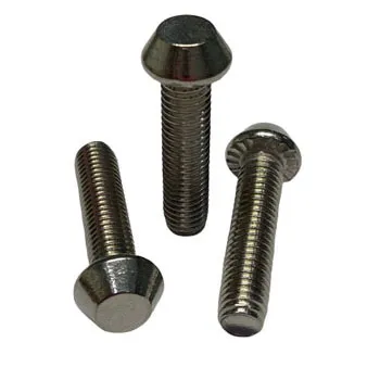 ss security bolt,stainless steel security bolt supplier